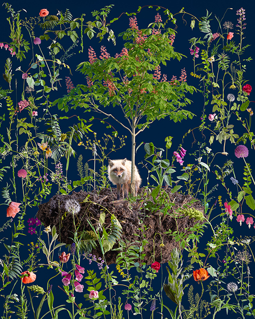 Morgan Barrie’s “Ornament,” a composite of photos on inkjet print, will be part of the exhibit.