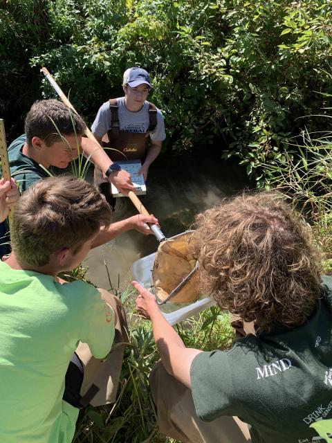 UW-Stout student Kal Breeden, background, monitors high school students as they look for macroinvertebrates in their net, which was dipped in Gilbert Creek.